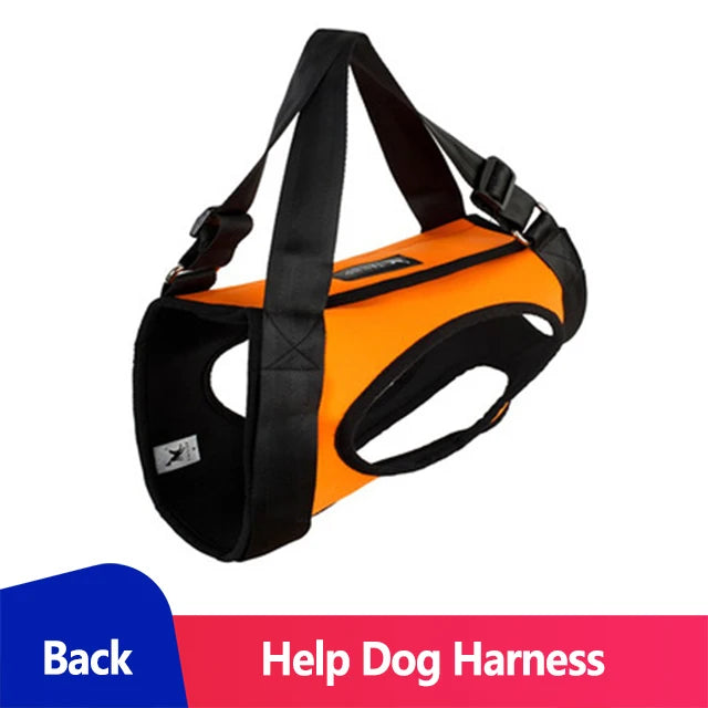 49249939456336|49249939489104|49249939521872