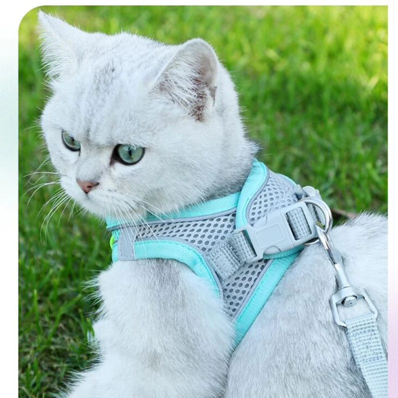 GoFlex Cat Leash